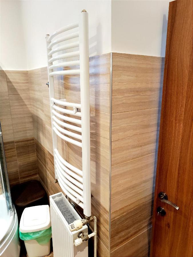 布拉索夫Casa De Vis公寓 外观 照片