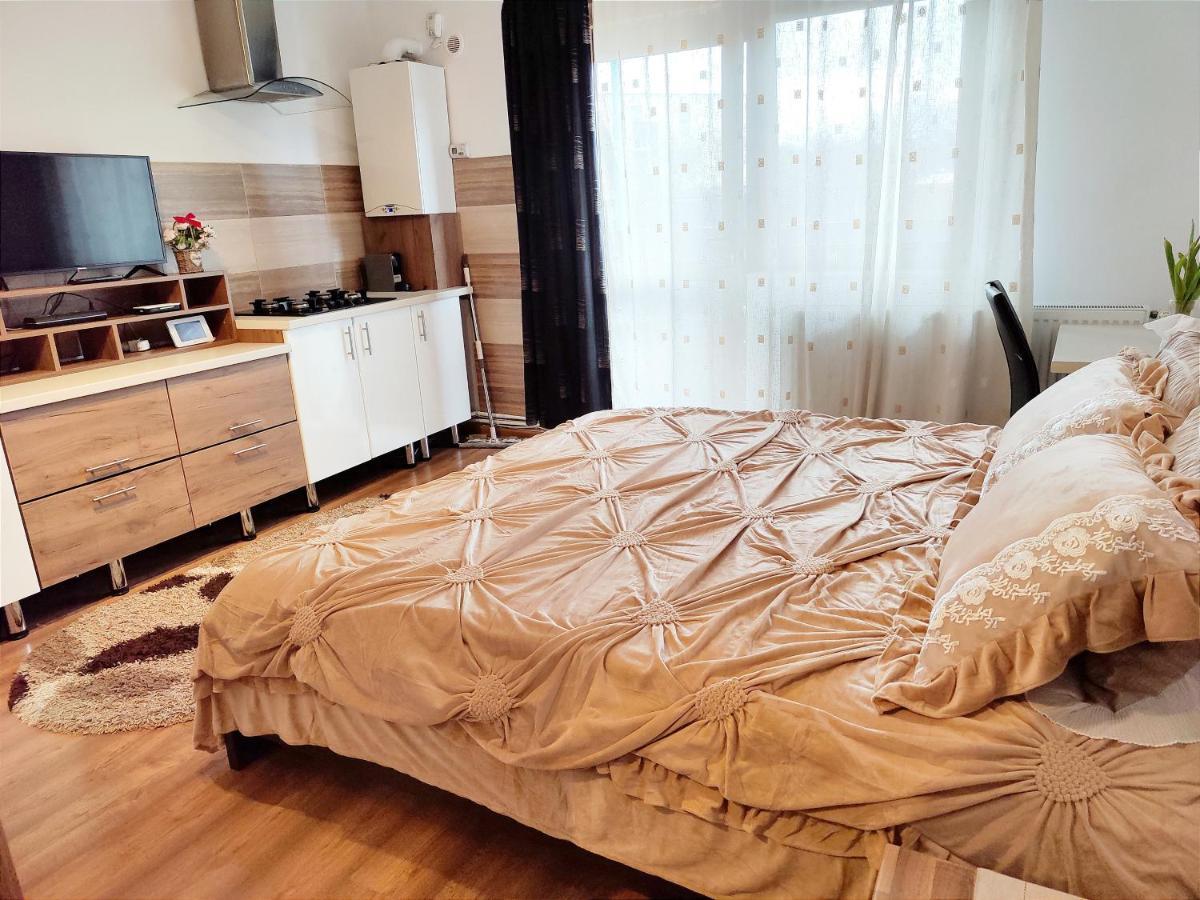 布拉索夫Casa De Vis公寓 外观 照片