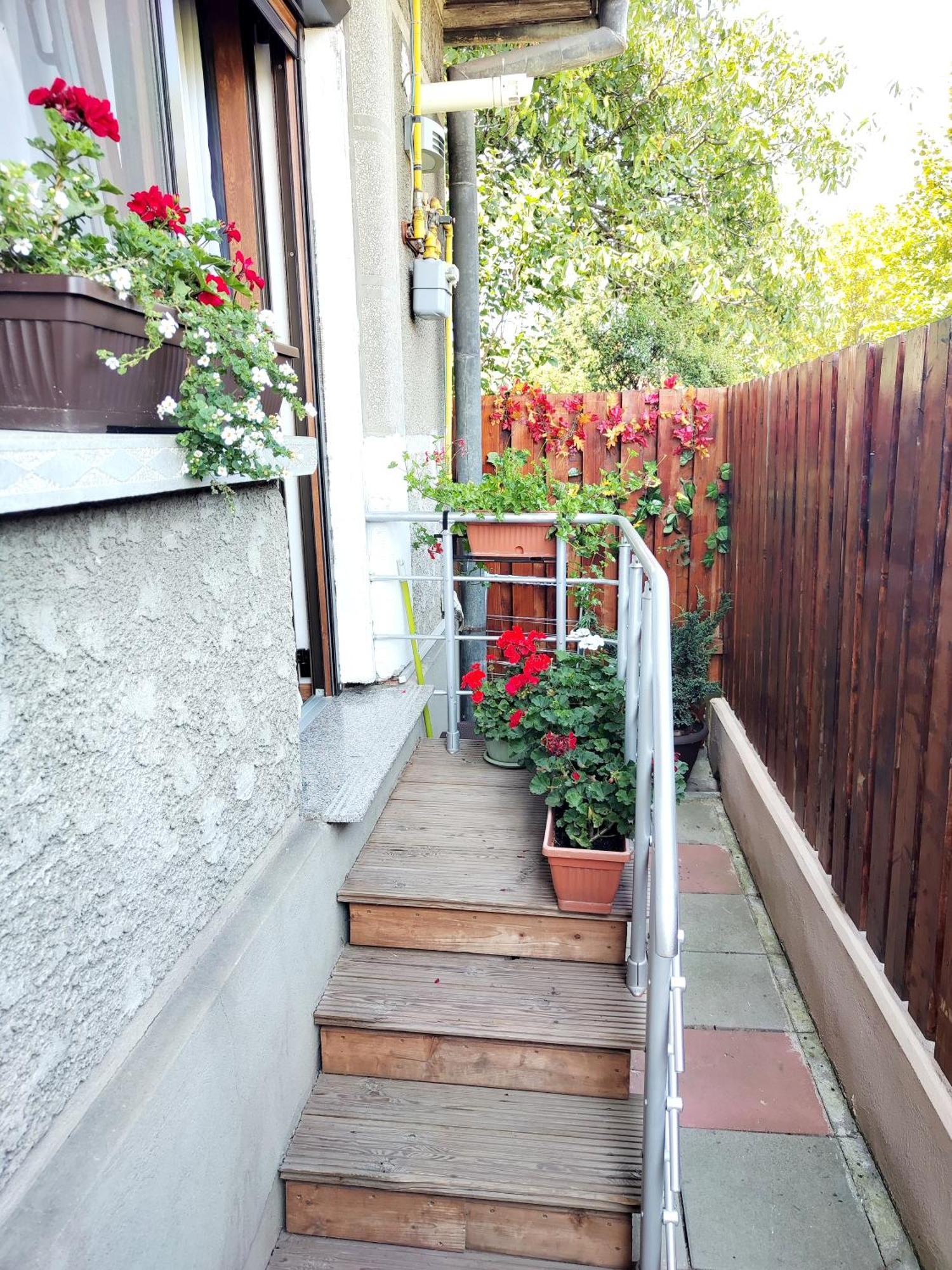 布拉索夫Casa De Vis公寓 外观 照片